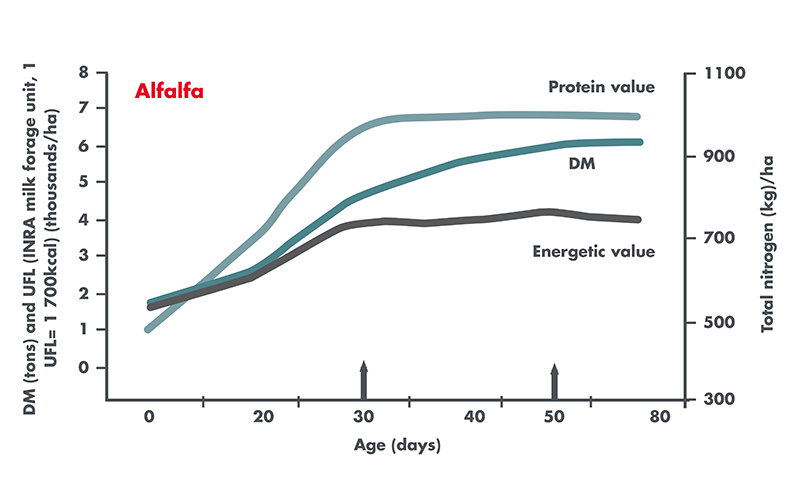 Alfalfa_graph