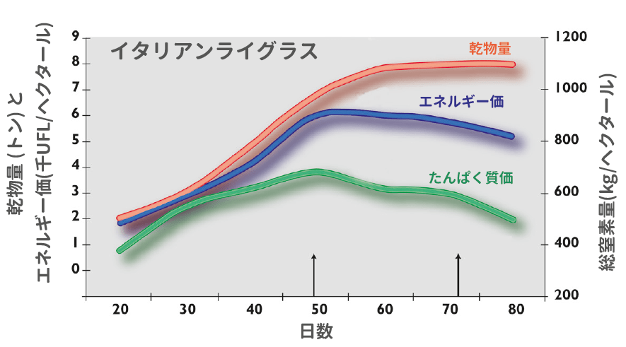 寒地型イネ科牧草サイレージ | Quality Silage